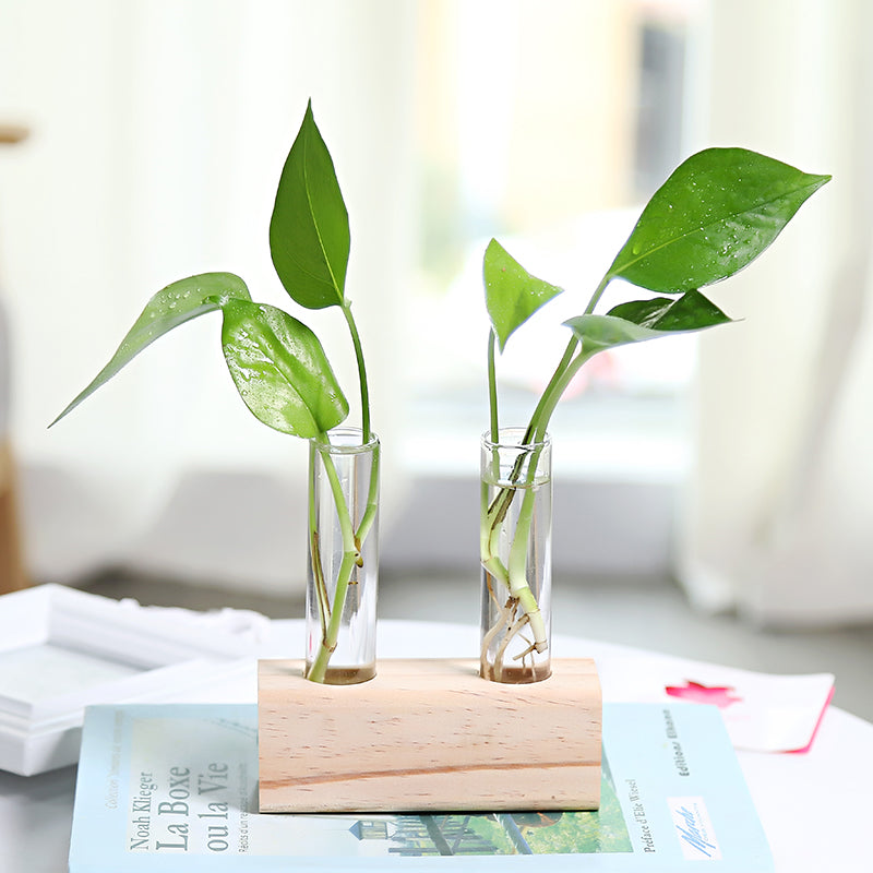 Glass Propagation Vases on Wooden Stand