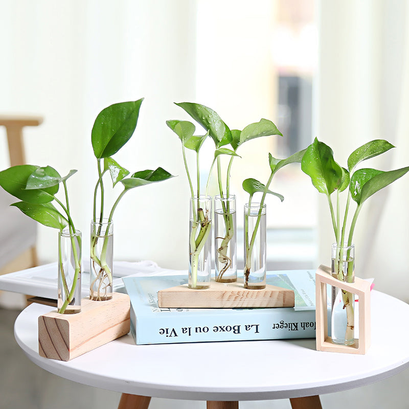 Glass Propagation Vases on Wooden Stand